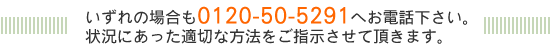 いずれの場合も0120-50-5291へお電話下さい。
